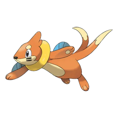 Buizel