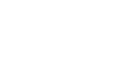 PT Bella Intan Media