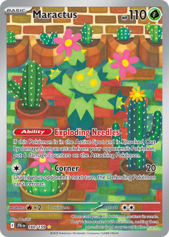 Maractus