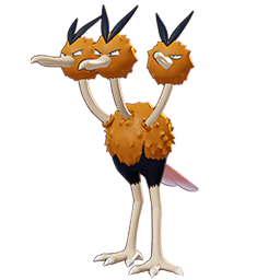Dodrio